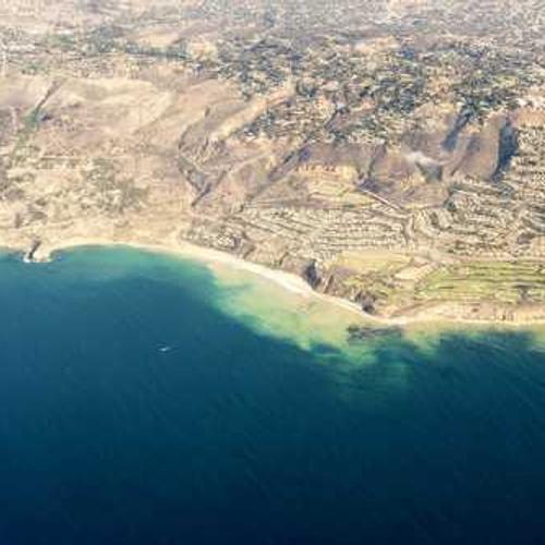 Насіння соняшнику СИ Арізона (SY Arizona) від постачальника Аграрна Платформа