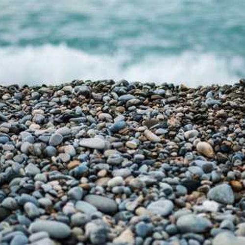 Гербіцид Тітус від постачальника Аграрна Платформа