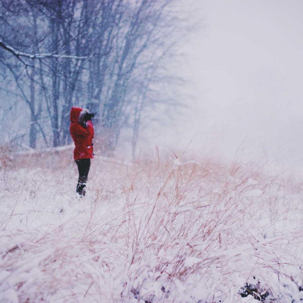 Широкий вибір культур