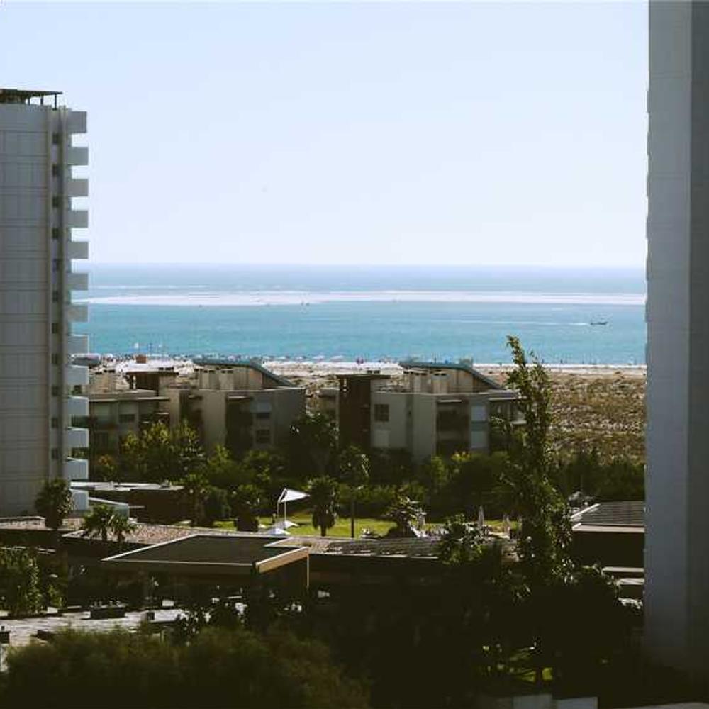 Гібрид кукурудзи Амарос (Amaros) від постачальника Аграрна Платформа