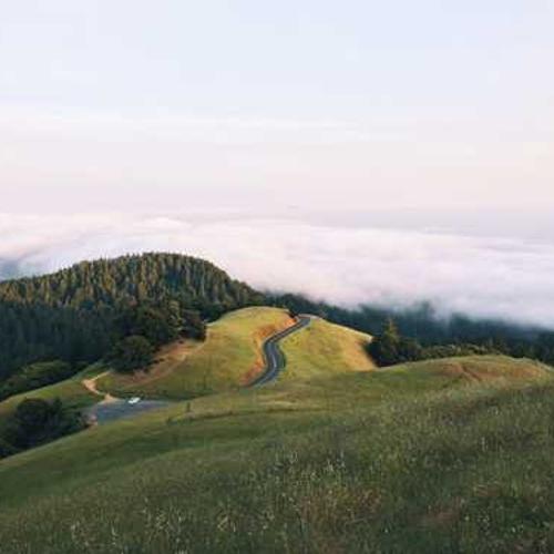 Насіння соняшнику МАС 96.П (MAS 96.P) від постачальника Аграрна Платформа