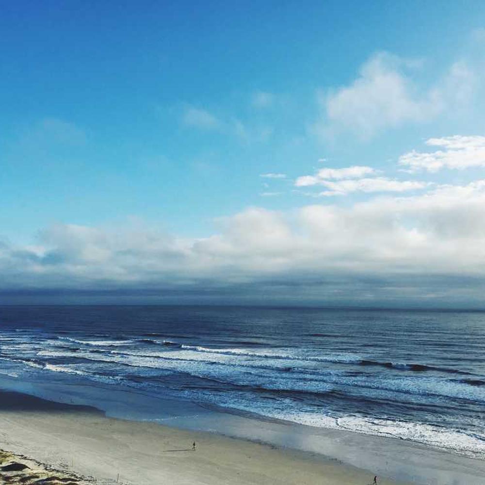 Протруйник Редіго М від постачальника Аграрна Платформа