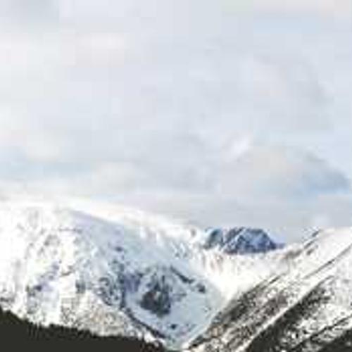 Гібрид кукурудзи Адевей (ADEVEY) від постачальника Аграрна Платформа