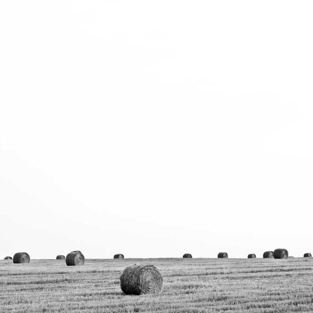 Гербіцид Стомп 330 від постачальника Аграрна Платформа