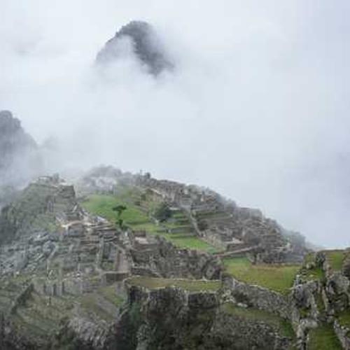 Гербіцид Стомп 330 від постачальника Аграрна Платформа