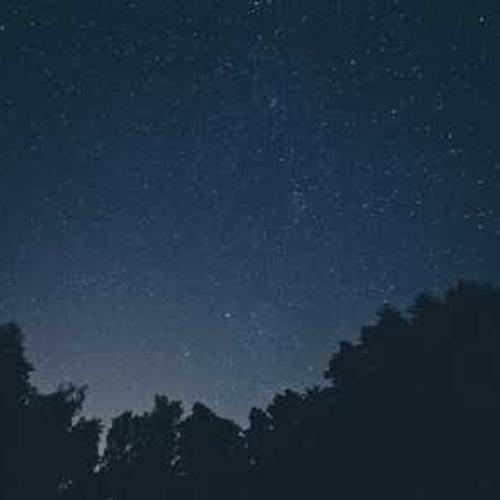 Фунгіцид Юніформ від постачальника Аграрна Платформа