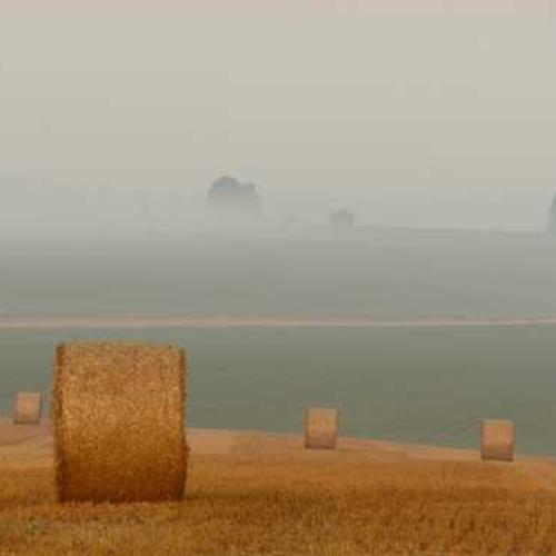 Фунгіцид Авіатор Xpro от поставщика Аграрная Платформа