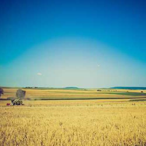 Фунгіцид Амістар Екстра від постачальника Аграрна Платформа