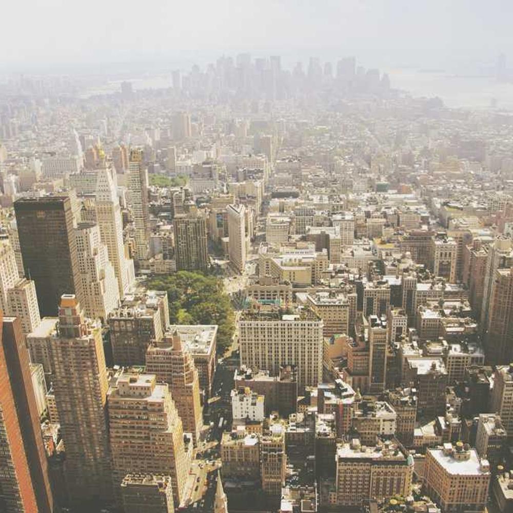 Регулятор росту Моддус від постачальника Аграрна Платформа