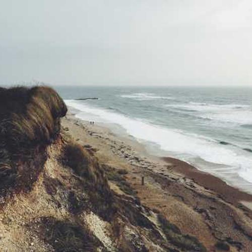 Регулятор росту Моддус від постачальника Аграрна Платформа