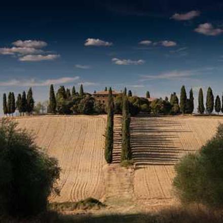 Залізний купорос для ґрунту: плюси і мінуси