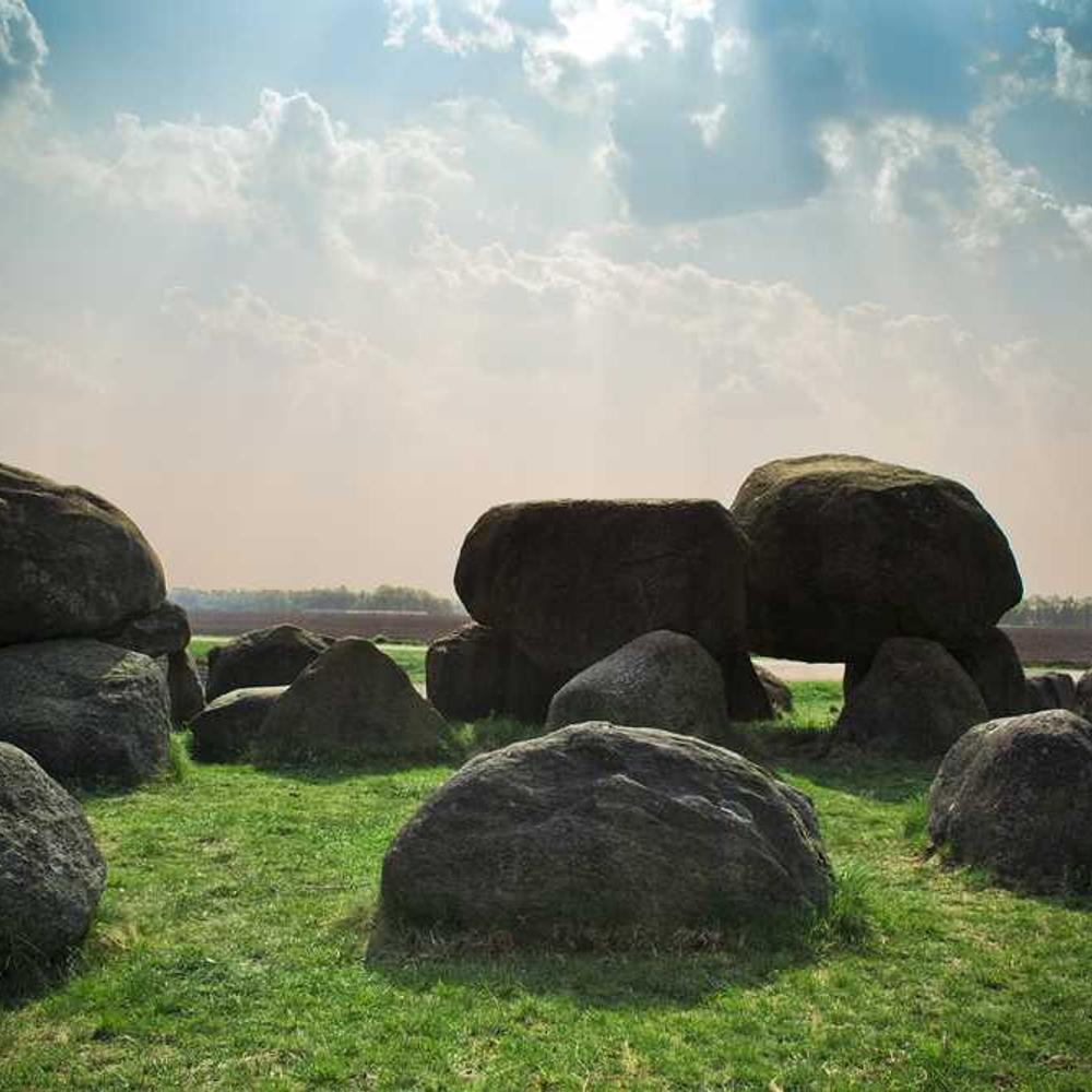 Гибрид кукурузы СИ Феномен (SY Chorintos) от поставщика Аграрная платформа