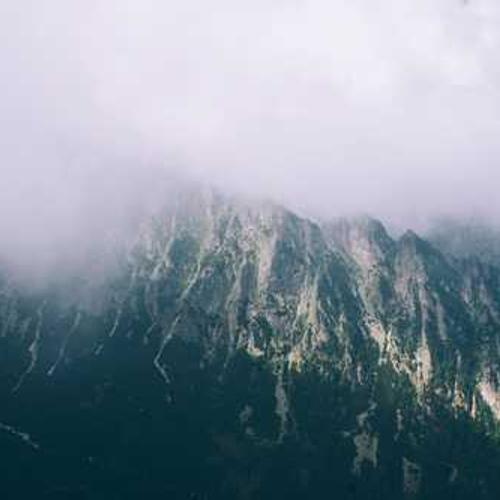 Регулятор росту Терпал від постачальника Аграрна Платформа