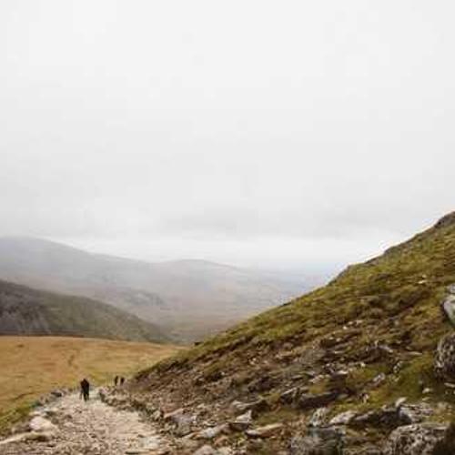 Інсектицид Сіванто Прайм від постачальника Аграрна Платформа