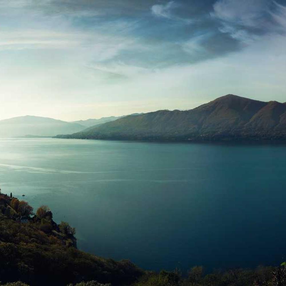 Насіння соняшнику Субаро HTS (Subaro HTS) від постачальника Аграрна Платформа