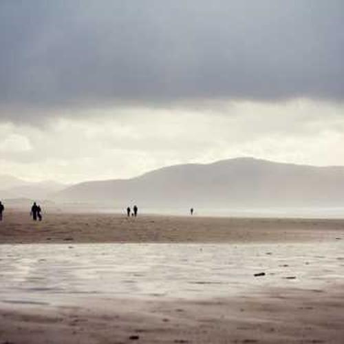 Протруйник Серкадіс від постачальника Аграрна Платформа