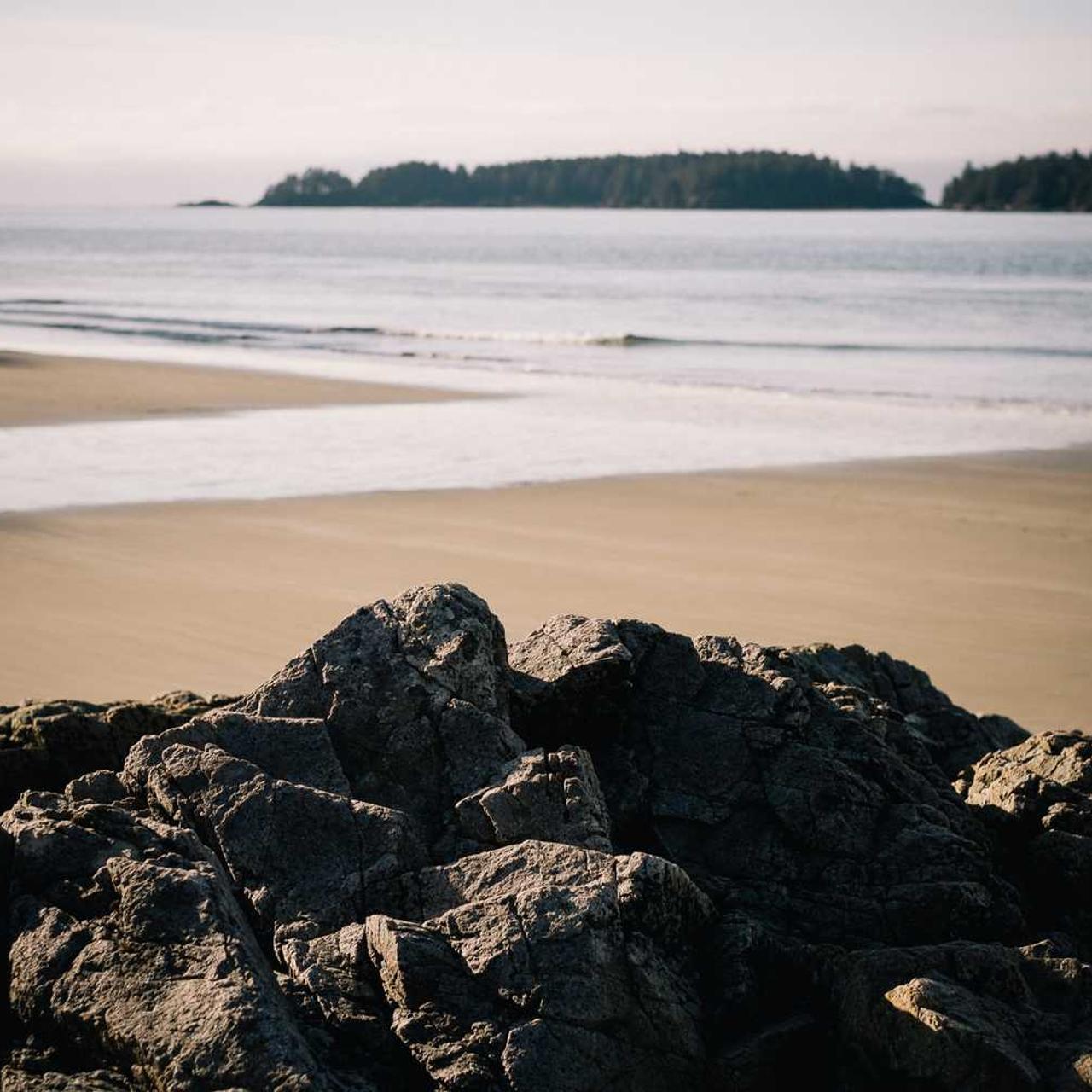 Коренева гниль: симптоми, методи боротьби і профілактики