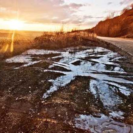 Коренева гниль: симптоми, методи боротьби і профілактики